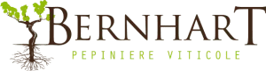 pépinière bernhart